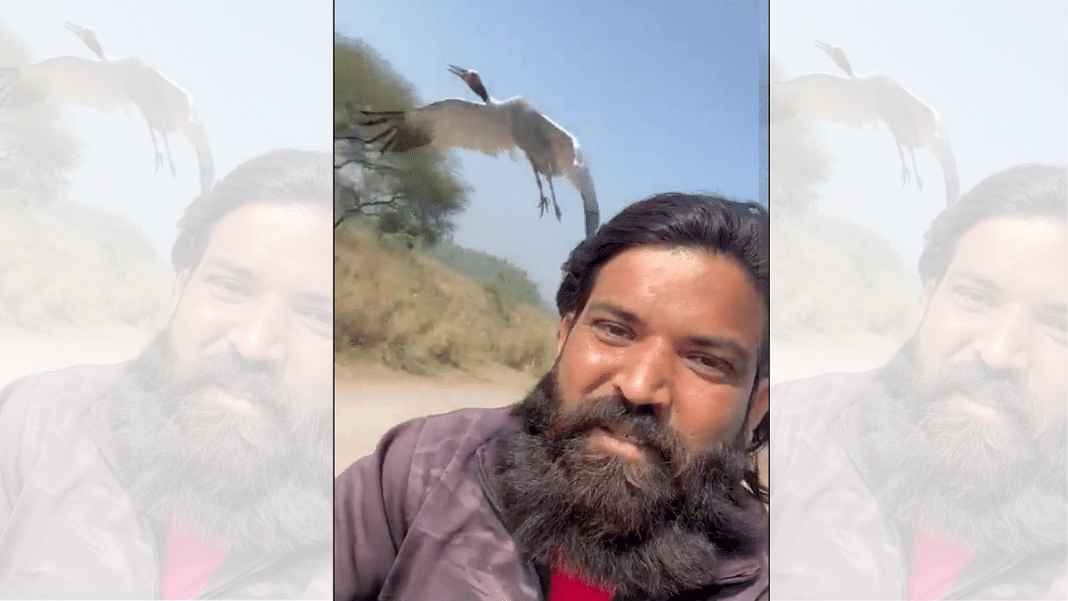 Birds Of A Feather An Amethi Man Rescued A Sarus Crane A Year Back 8311