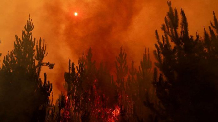 A wildfire burns areas in Santa Juana, near Concepcion, Chile, 4 February, 2023 | Reuters