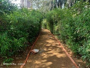 A walking track in between Miyawaki plantations at Bhakti Park | Credit: BMC