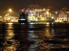 A container ship is docked at a port in Vallarpadam in the southern Indian city of Kochi | Reuter file photo