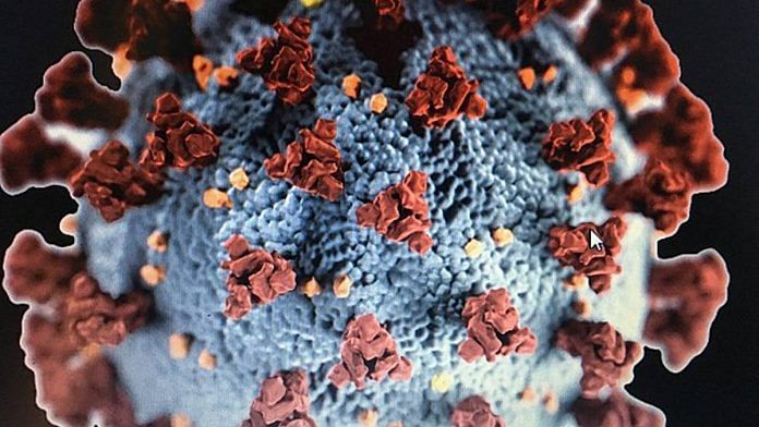 Representational Image of the Corona virus| Photo credit: WikiCommons