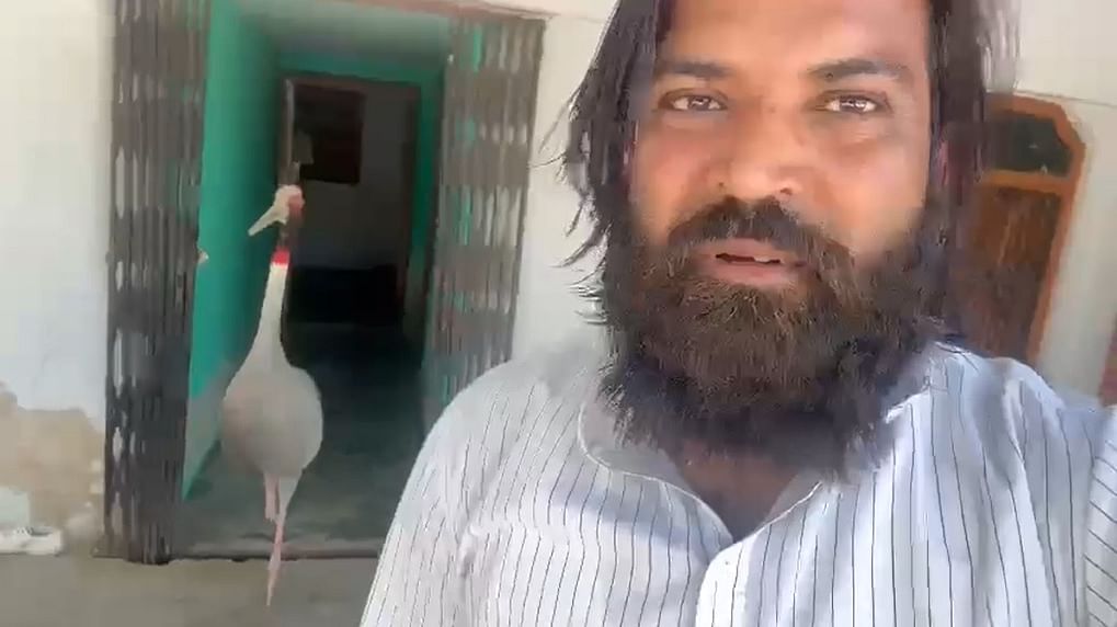 Muhammad Arif with Sarus crane at his house | By special arrangement
