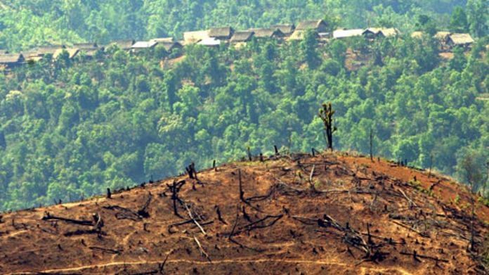 Deforestation | Representational image | Flickr