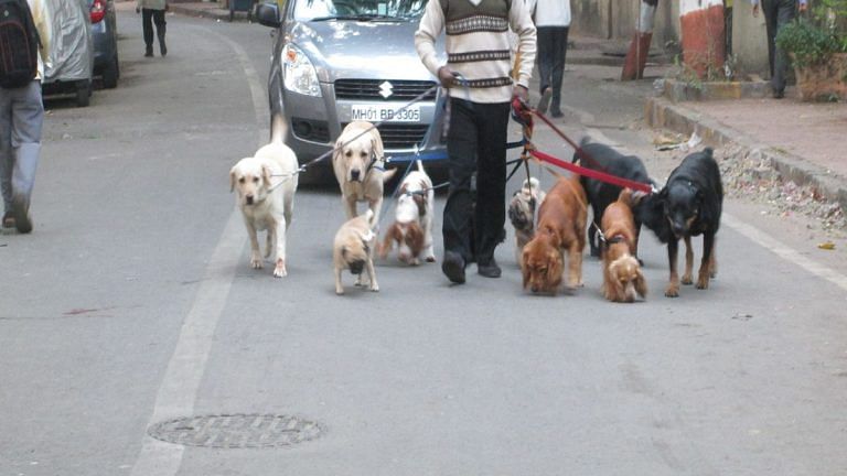 A crappy habit’s strained ties between 2 Ghaziabad societies. Now they’re flinging dog poop at each other