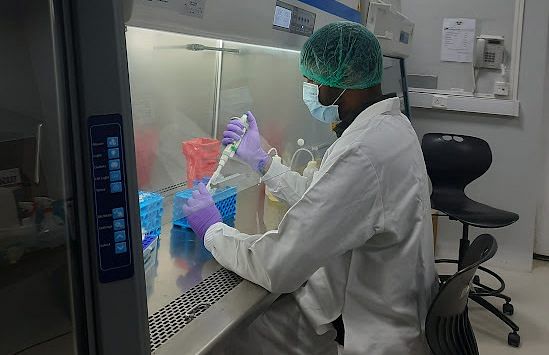 Sample processed in a sterile hood before RNA extraction (credit: Subhash KK)