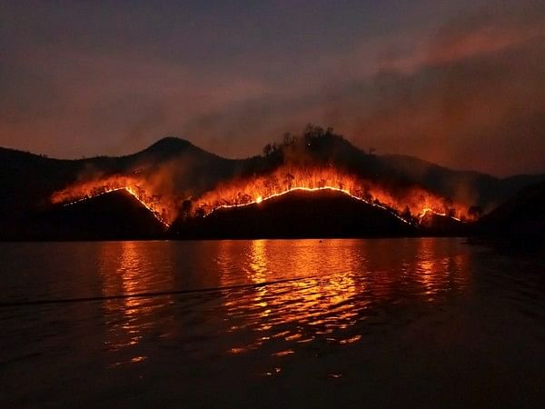 Smoke particles from wildfires can erode ozone layer: Research