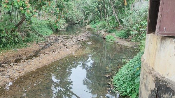 Case filed against 7 institutions in Kerala for discharging sewage into river amid Cholera scare