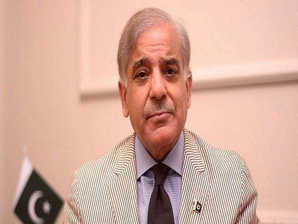 Pakistan PM Shehbaz Sharif says fears of default have 