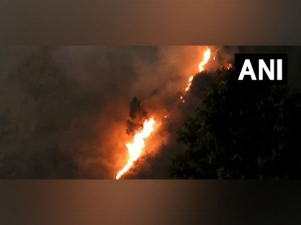 Forest fire in Tamil Nadu's Kodaikanal range extinguished