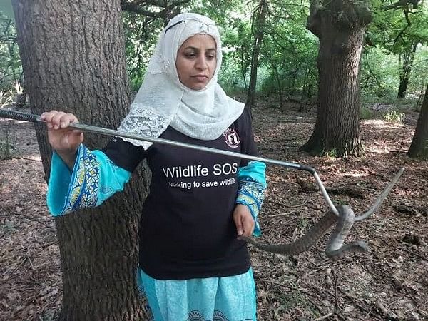 Alia Mir, J-K's first woman receives Wildlife Conservation Award