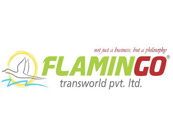 Flamingo Transworld takes user experience to new heights with a website makeover