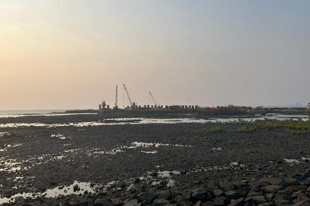 The under-construction Bandra-Versova sea link. The Versova-Virar sea link will be an extension of this, in the north | Manasi Phadke | ThePrint