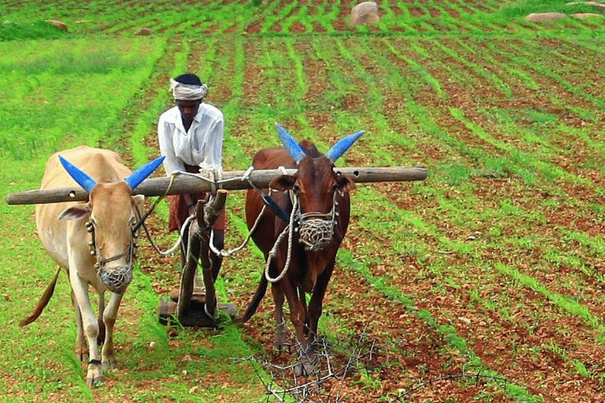 What is bhu-aadhaar? A unique id for land that aims to check fraud, benami transactions
