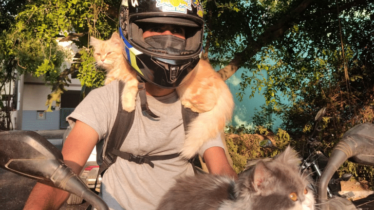 A Bengaluru biker is riding everywhere with his 2 cats. Is it pet love or cruelty?