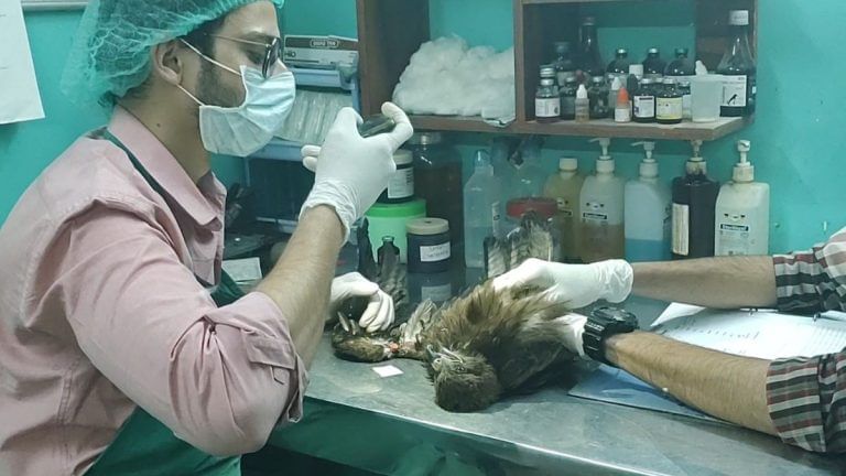 Delhi brothers’ efforts to save 26,000 birds reach Oscars. But they’re struggling for funds