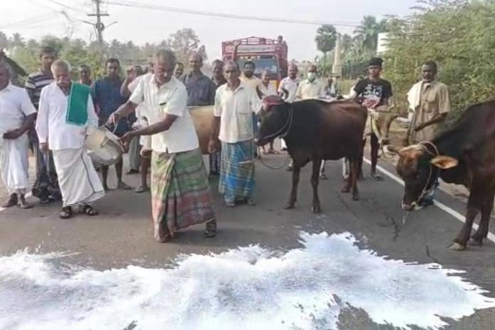 Milk producers in Erode district of Tamil Nadu pouring milk on the road as a mark of protest to press for their demand | By special arrangement