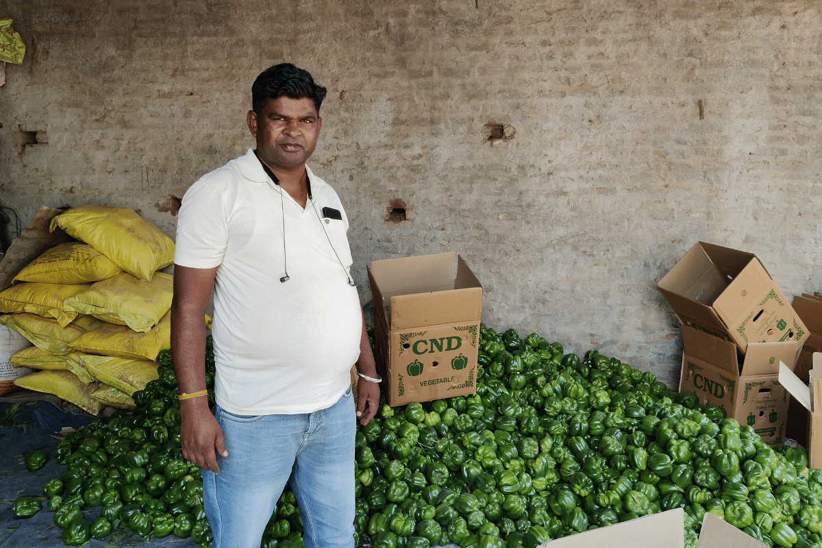 A trader, Surinder Pal, at a farm in Mansa | Sonal Matharu | ThePrint