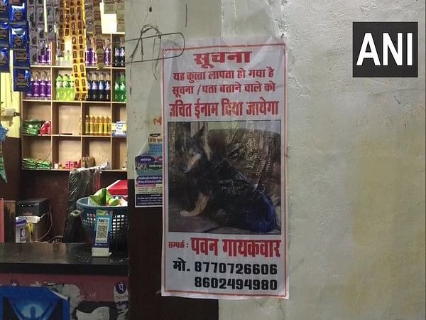 MP: IAS officer's dog goes missing from Gwalior's Bilua area, police engage in search, "missing posters" pasted in area