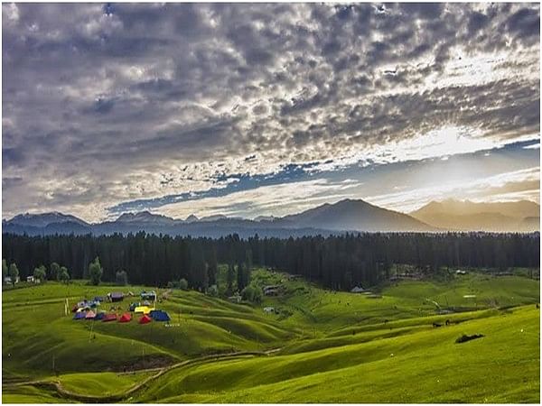 Peaceful harvesting commences along Indo-Pak border in Jammu and Kashmir