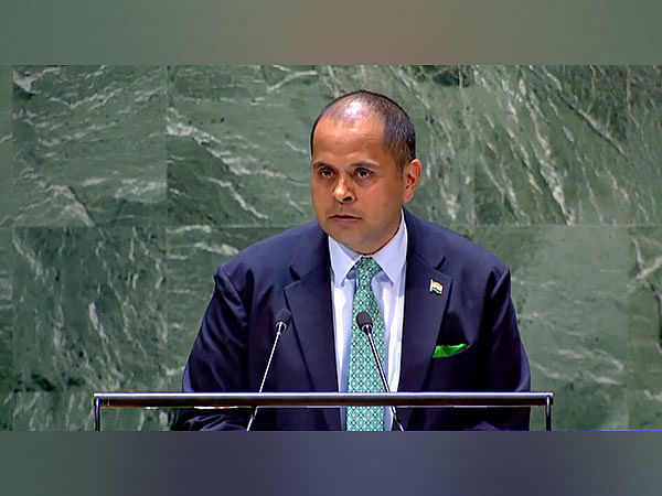 "Goes against sovereign equality of states": Counsellor Pratik Mathur addresses UNGA Plenary on "Question of Veto"
