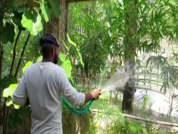 Vadodara Zoo makes special arrangements to protect animals from heat