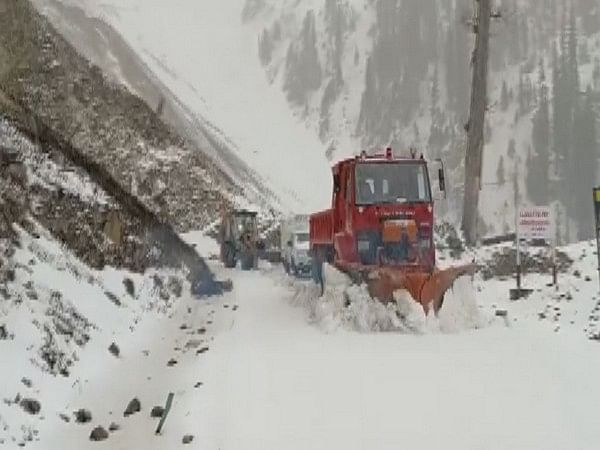 Pir Panjal Range In J-K Receives Fresh Spell Of Snowfall, Snow Clearing ...