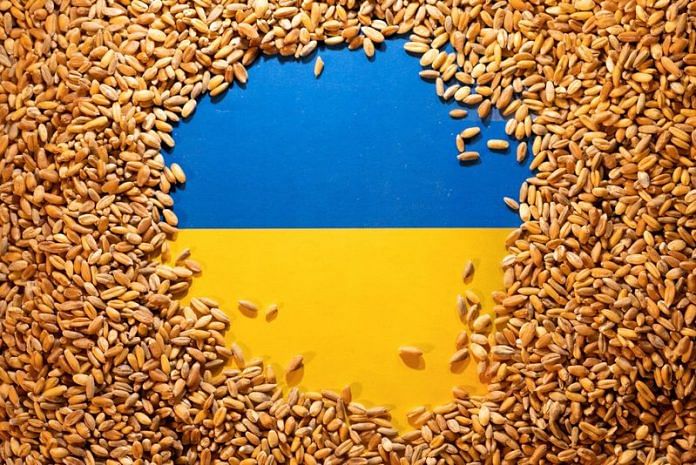 Ukrainian flag is covered with grains | Reuters File Photo