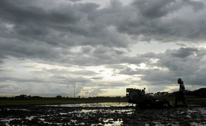 A farmer works on his paddy field against the backdrop of monsoon clouds at Shanmura on the outskirts of Agartala in Tripura | Reuters file photo