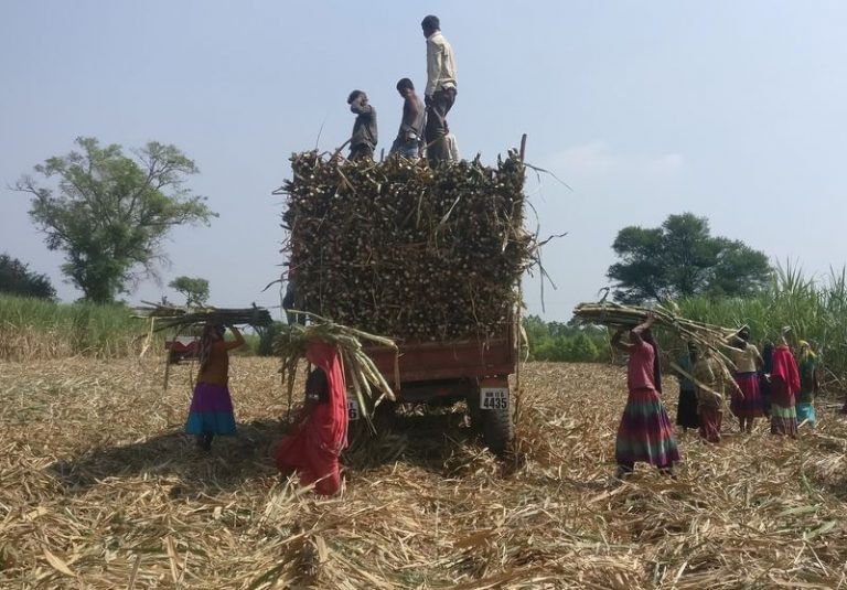 Sugar prices in India climb as production drops amid record demand