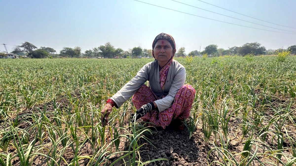 Shantabai Chavan, an onion farmer on her two-acre plot in Takli village | Fehmi Mohammed