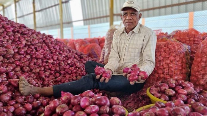 The red onions that are in supply from August to February. They have a shelf life of two weeks | Credit: Fehmi Mohammed