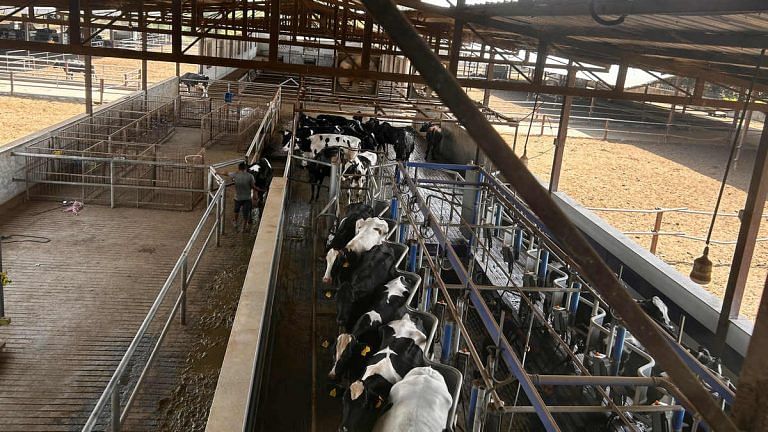 ‘No other option’ — behind Amul price revisions, a battle against soaring costs in Gujarat’s dairies