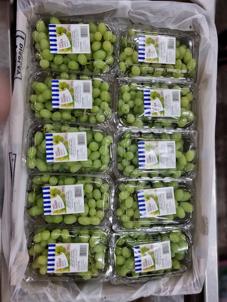Grapes ready to be shipped to supermarkets in The Netherlands| Credit: Fehmi Mohammed
