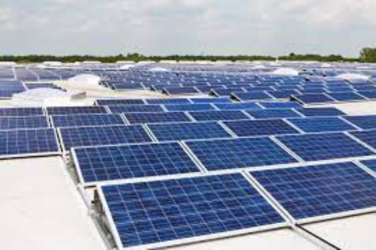 India’s solar panel sector to be ‘self-sufficient’ by 2026, emerge as alternative to Chinese solar PV modules