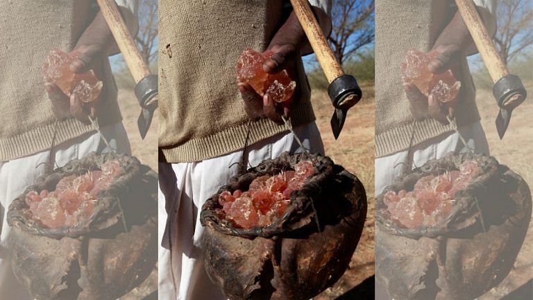 Sudan conflict threatens supply of gum arabic, key ingredient in fizzy drinks, candy & cosmetics