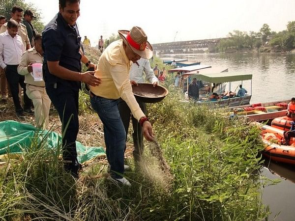 Delhi LG plants 300 cherry blossom and chinar saplings on 3 Yamuna Islands