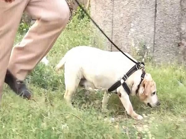 Punjab Police Canine squad's Labrador dog beats cancer, joins back on duty