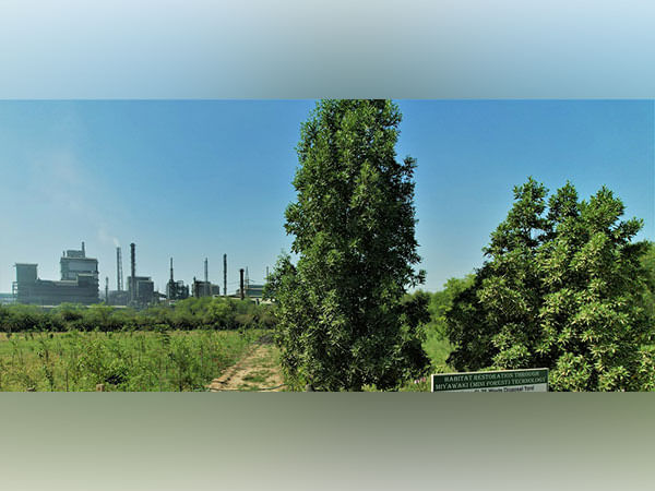 Hindustan Zinc Nurturing Biodiversity with Miyawaki Plantation