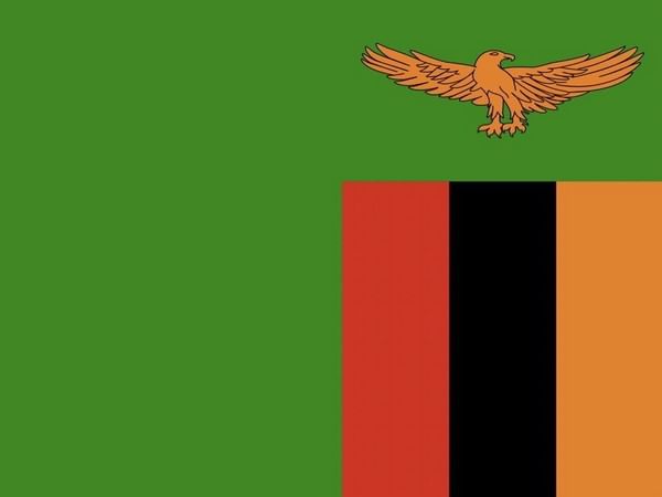 India, Zambia holds 3rd Foreign Office Consultations ThePrint