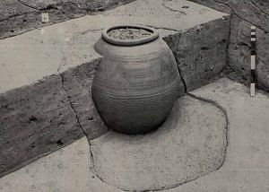 Late Harappan Jar embedded in a pit from site Dadheri which also replicated the 'overlap' sequence of Bhagwanpura | Credit: Archaeological Survey of India