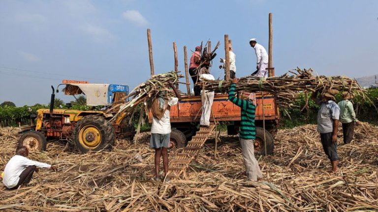 Sugar mills ship out entire quota of 6.1 million tonnes amid surging demand
