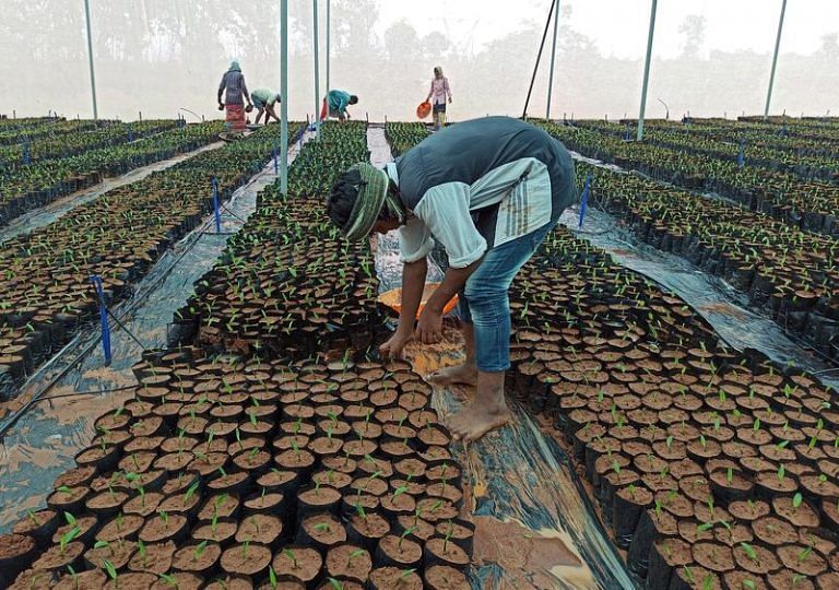 Palm oil imports in April slump 30% to 14-month low
