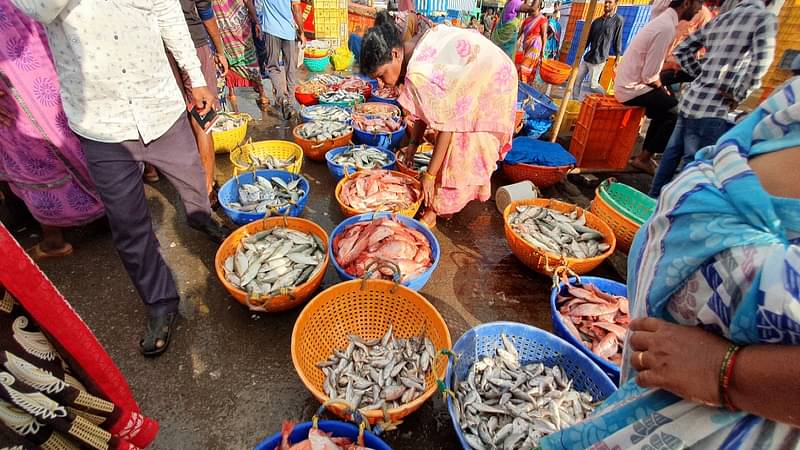 Fish market at Malpe Bandar in Udupi | Sharan Poovanna | ThePrint