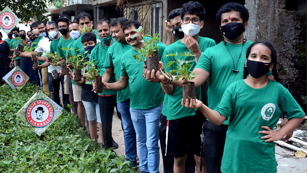 Tree plantation is one of the initiatives that can earn green credit | Representational image | ANI