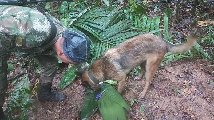 A soldier and a dog take part in a search operation for child survivors from a Cessna 206 plane that had crashed in the jungle more than two weeks ago, in Caqueta, Colombia May 17, 2023. Colombian Air Force/handout via Reuters