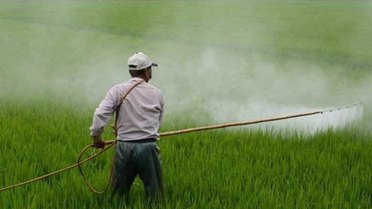 SubscriberWrites: Pesticide use strategies for long term sustainable agriculture