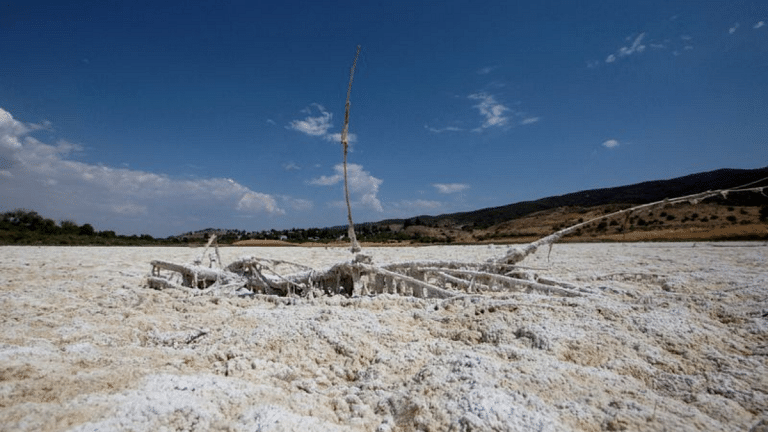 Climate change drying out more than half of world’s large lakes, says study in Science