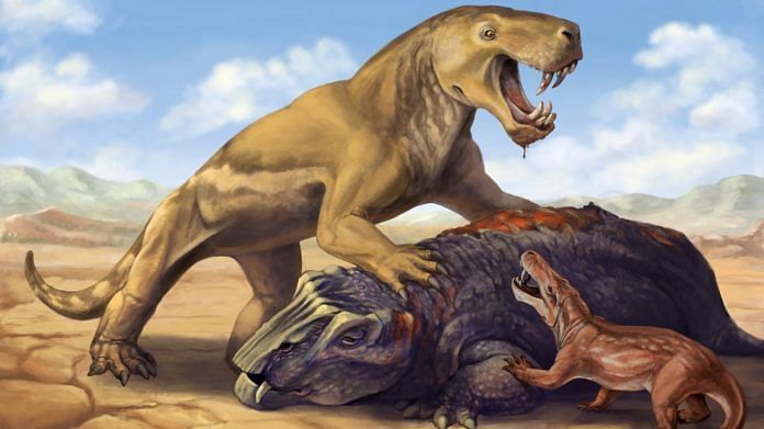 This undated illustration shows the Permian Period tiger-sized saber-toothed protomammal Inostrancevia atop its dicynodont prey, scaring off the much smaller species Cyonosaurus | Matt Celeskey/Handout via Reuters
