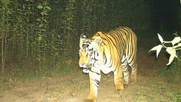 File photo of Chhattisgarh’s Udanti-Sitanadi Tiger Reserve | ANI/forest department
