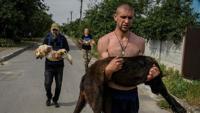 Volunteers evacuate dogs, previously sedated, from a flooded area after the Nova Kakhovka dam breached, amid Russia's attack on Ukraine, in Kherson | Reuters